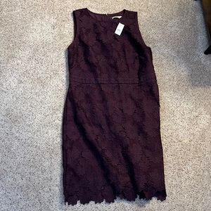 Loft lace dress 12 NWT